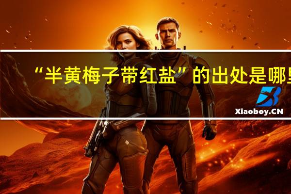 “半黄梅子带红盐”的出处是哪里