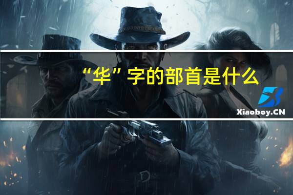 “华”字的部首是什么