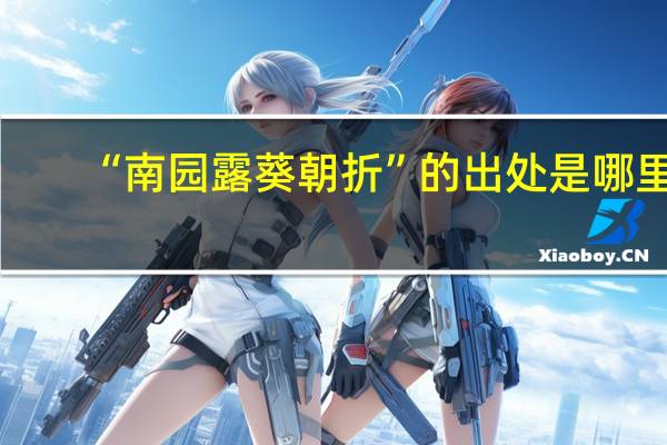 “南园露葵朝折”的出处是哪里