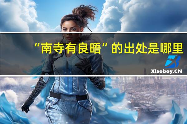 “南寺有良晤”的出处是哪里