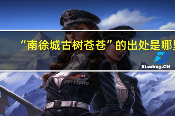 “南徐城古树苍苍”的出处是哪里