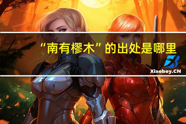 “南有樛木”的出处是哪里