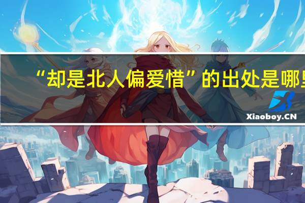 “却是北人偏爱惜”的出处是哪里