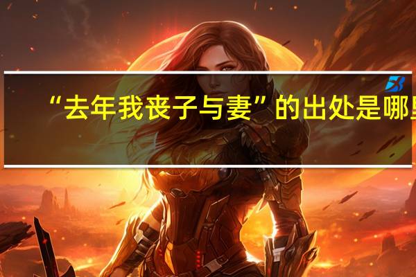 “去年我丧子与妻”的出处是哪里