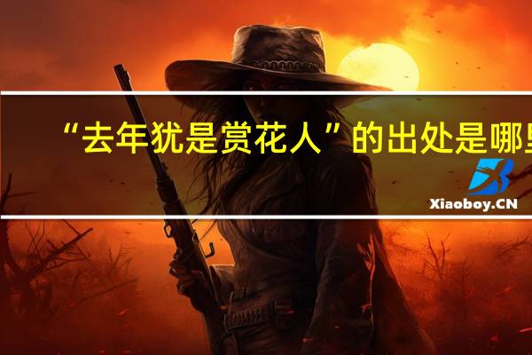 “去年犹是赏花人”的出处是哪里