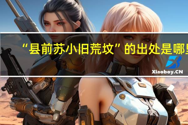 “县前苏小旧荒坟”的出处是哪里