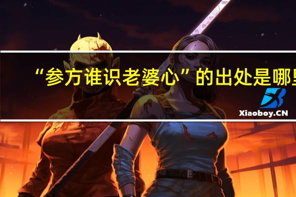 “参方谁识老婆心”的出处是哪里