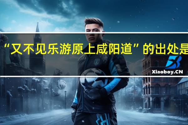 “又不见乐游原上咸阳道”的出处是哪里