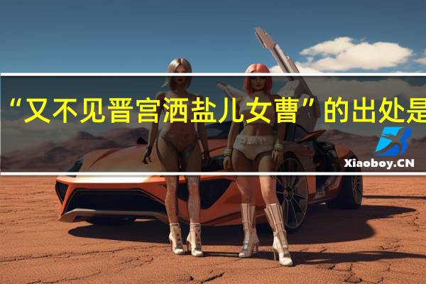 “又不见晋宫洒盐儿女曹”的出处是哪里
