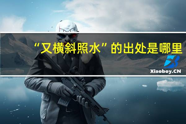 “又横斜照水”的出处是哪里