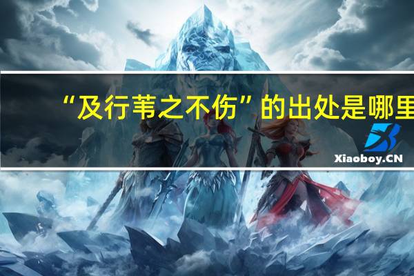 “及行苇之不伤”的出处是哪里