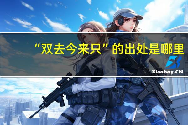 “双去今来只”的出处是哪里