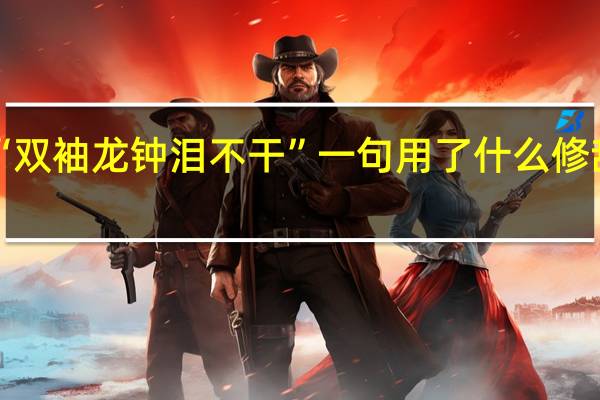 “双袖龙钟泪不干”一句用了什么修辞手法