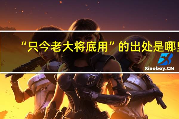 “只今老大将底用”的出处是哪里