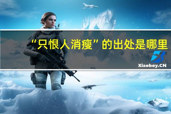 “只恨人消瘦”的出处是哪里