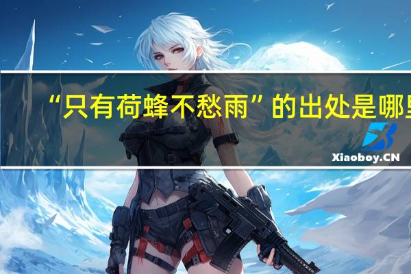 “只有荷蜂不愁雨”的出处是哪里