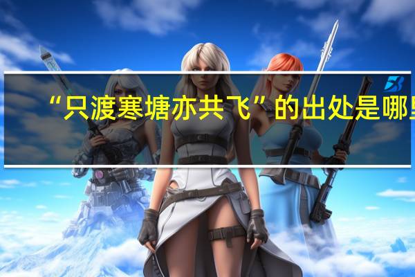 “只渡寒塘亦共飞”的出处是哪里