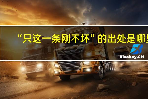 “只这一条刚不坏”的出处是哪里