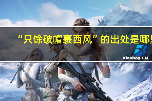 “只馀破帽裹西风”的出处是哪里