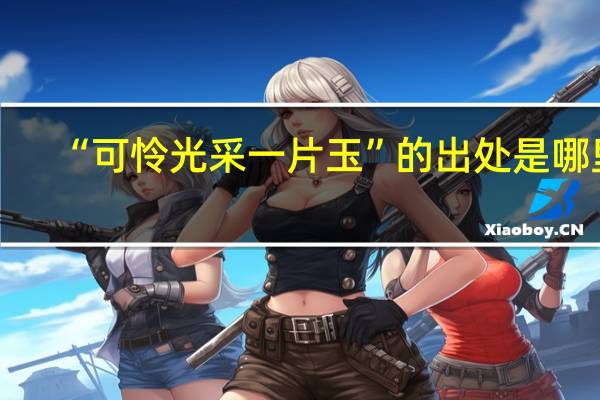 “可怜光采一片玉”的出处是哪里