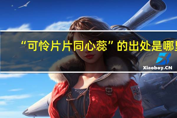 “可怜片片同心蕊”的出处是哪里