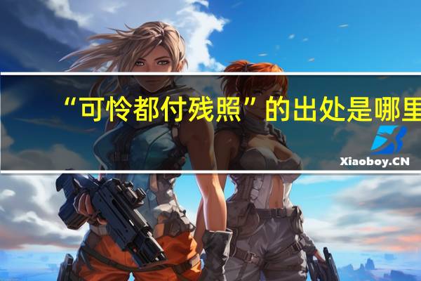 “可怜都付残照”的出处是哪里