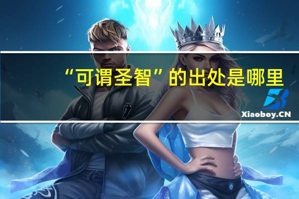 “可谓圣智”的出处是哪里