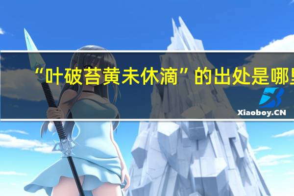 “叶破苔黄未休滴”的出处是哪里