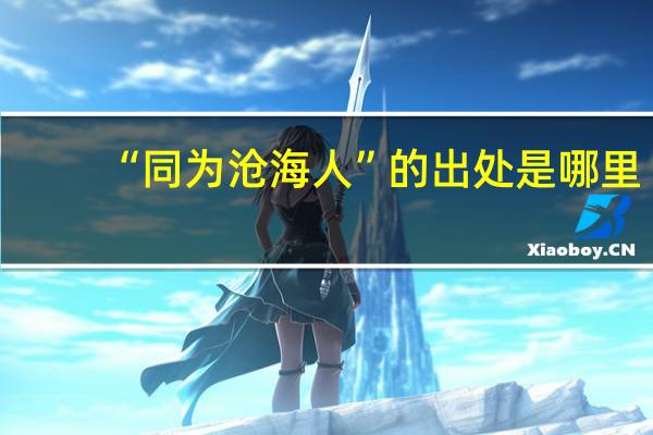 “同为沧海人”的出处是哪里