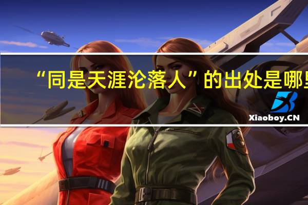 “同是天涯沦落人”的出处是哪里