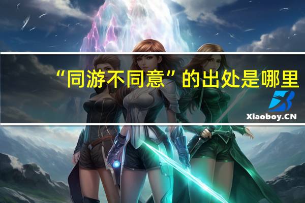 “同游不同意”的出处是哪里