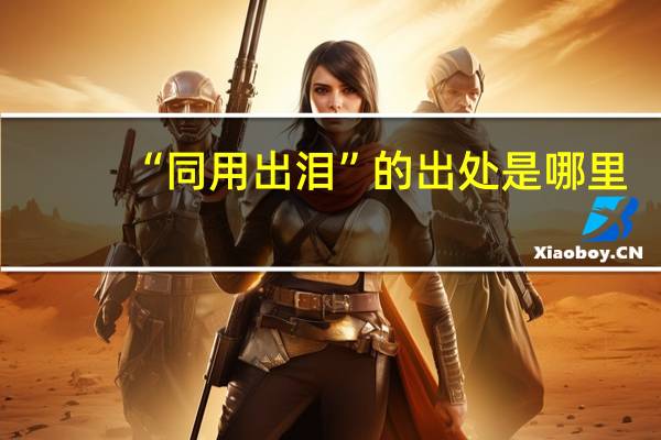 “同用出泪”的出处是哪里