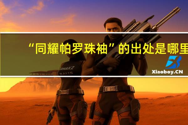 “同耀帕罗珠袖”的出处是哪里