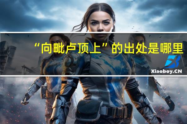 “向毗卢顶上”的出处是哪里