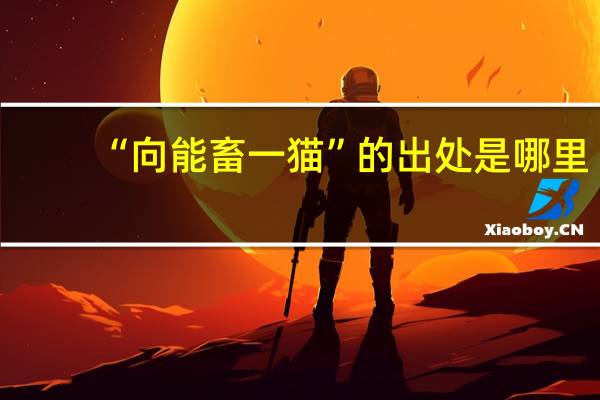 “向能畜一猫”的出处是哪里