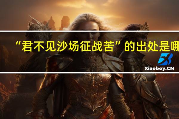 “君不见沙场征战苦”的出处是哪里