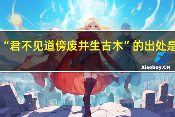 “君不见道傍废井生古木”的出处是哪里