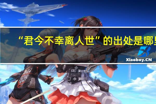 “君今不幸离人世”的出处是哪里