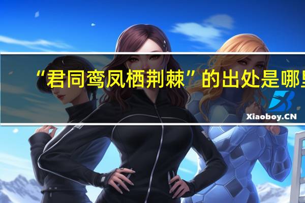 “君同鸾凤栖荆棘”的出处是哪里