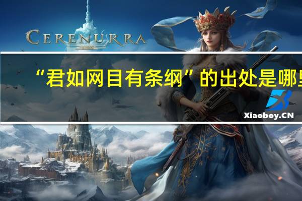 “君如网目有条纲”的出处是哪里