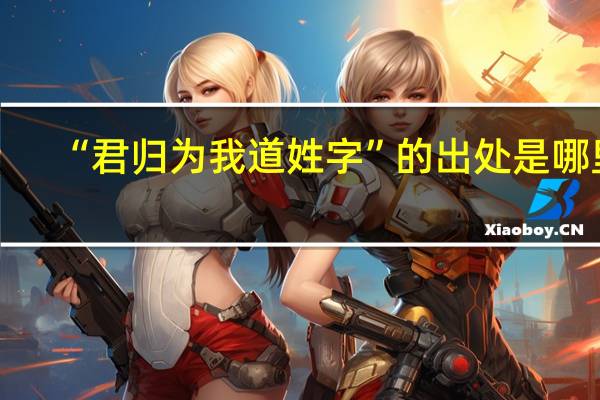 “君归为我道姓字”的出处是哪里