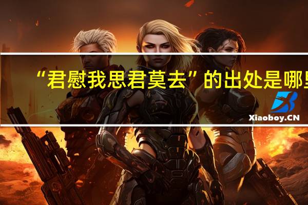 “君慰我思君莫去”的出处是哪里