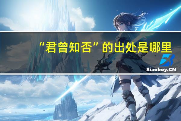 “君曾知否”的出处是哪里