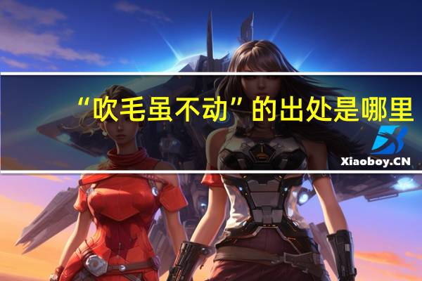 “吹毛虽不动”的出处是哪里