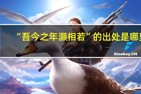 “吾今之年灏相若”的出处是哪里