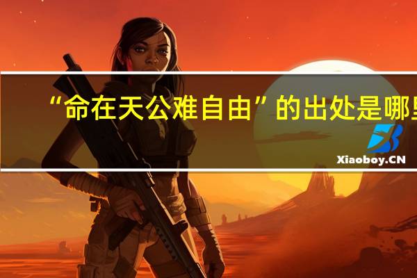 “命在天公难自由”的出处是哪里