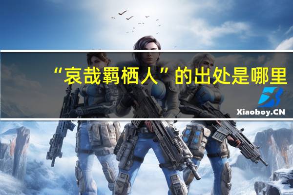 “哀哉羁栖人”的出处是哪里