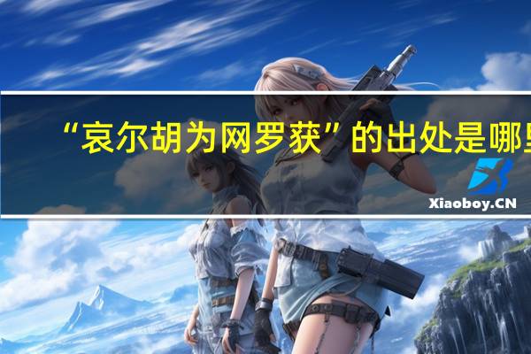 “哀尔胡为网罗获”的出处是哪里