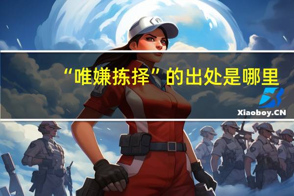 “唯嫌拣择”的出处是哪里