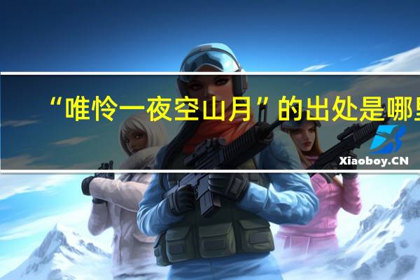 “唯怜一夜空山月”的出处是哪里